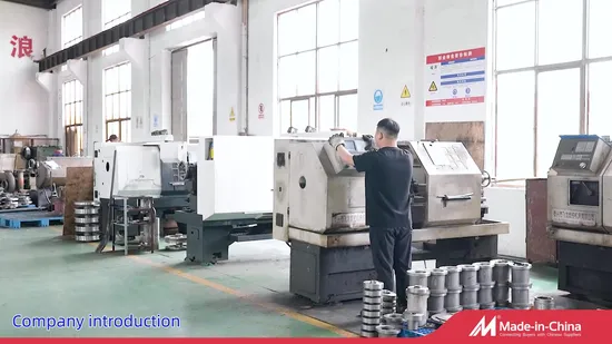 Stainless Steel Water Treatment Chemical Lubricating Hydraulic Oil Vacuum Slurry Pump